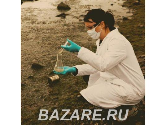 Услуги судебной экологической экспертизы,  Новосибирск