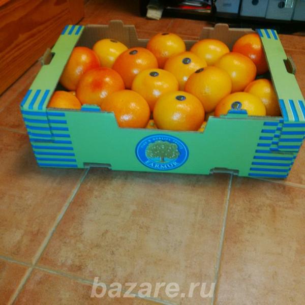 Продаем грейпфрут из Испании, Москва