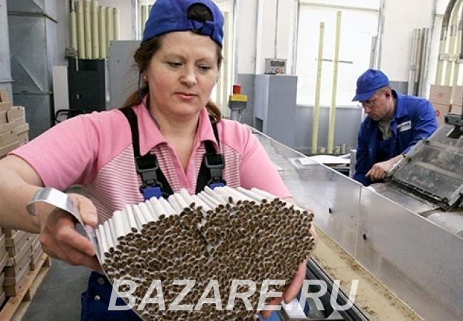 Упаковщик табачных изделий,  Саранск