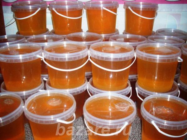 Продается донниковый мёд урожай 2016 года