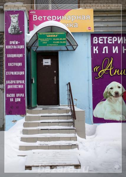 l Ветеринарная клиника АнимА,  Омск