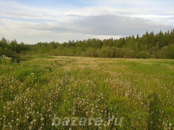 Земельный участок с озером село Лязгино,  Томск