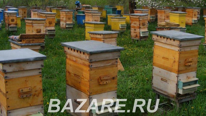 Готовый состав для обработки пчелиных ульев на основе . ..,  Новосибирск
