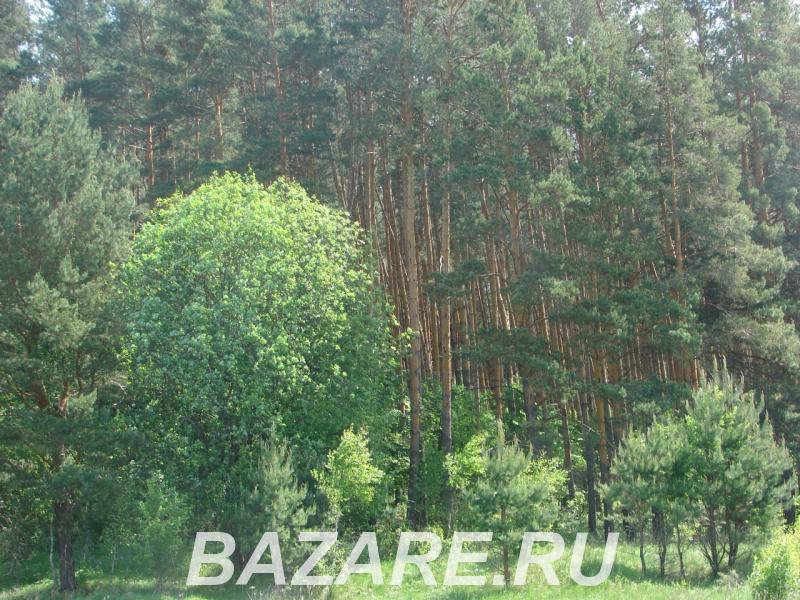 Продается земля в с. Богимово Калужская область,  Калуга