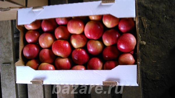 Продаем яблоки оптом, Таганрог