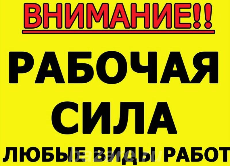 Услуги разнорабочих , подсобные рабочие,  Томск