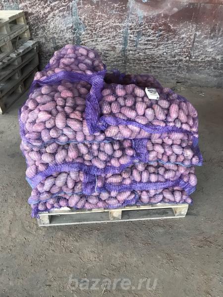 Продаётся картофель в мешках, Нижний Новгород