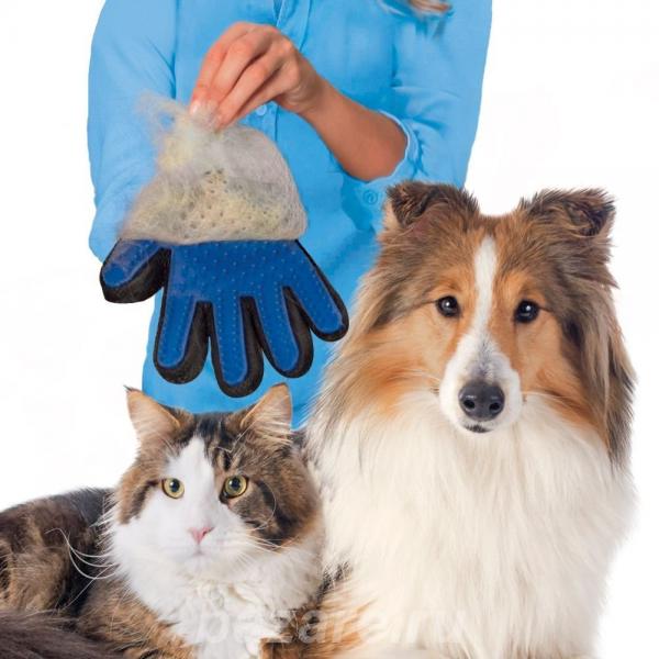Перчатка для вычёсывания шерсти животных.