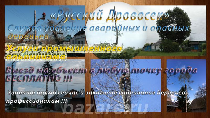Спил деревьев Белгород Старый Оскол Губкин,  Белгород