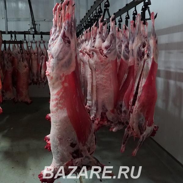 Говядина, баранина, мясо птицы, субпродукты в ассортименте,  Екатеринбург