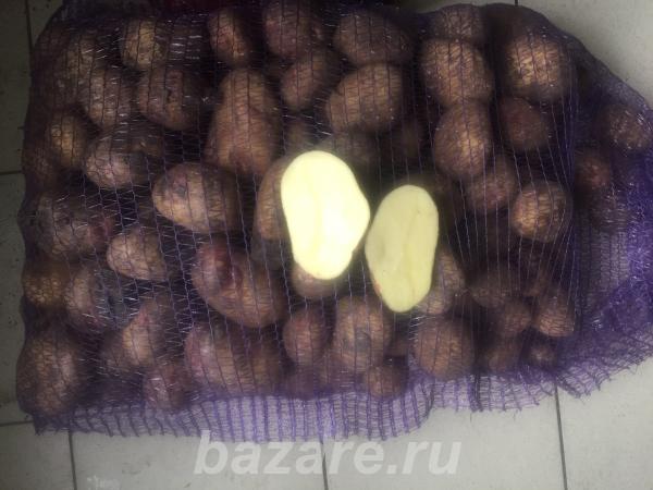 Картофель оптом по 15 руб., Веселый