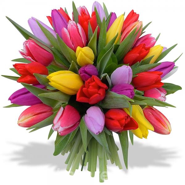 Цветы и букеты купить или заказать в Костроме