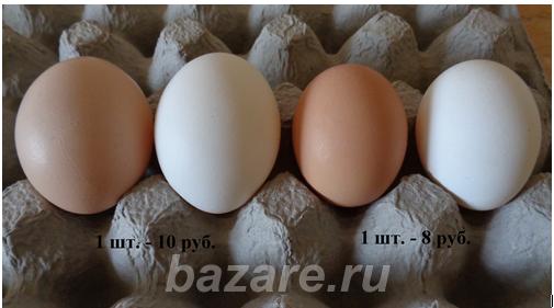 Продажа куриного яйца от домашних кур 80 руб. и 100 руб., Белогорск