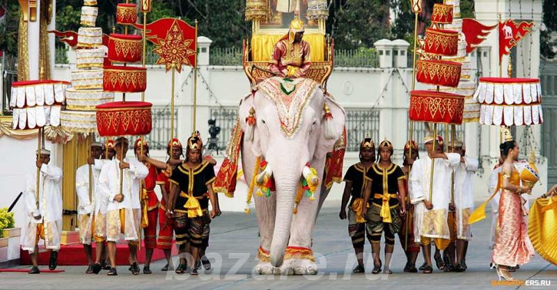 13 марта - национальный день слона в Тайланде.
