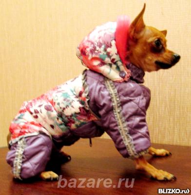 одежда для собак и кошек,  Томск