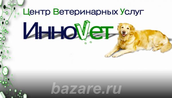 Центр ветеринарных услуг ИнноVet,  Томск