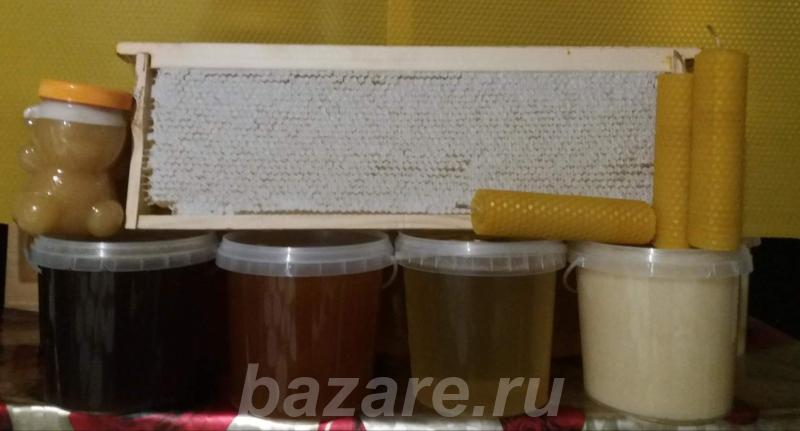 Мёд с личной кочевой пасеки, от простого до элитного ., Курганинск