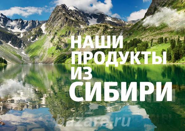Сибирское здоровье - энергия природы для вас,  Омск