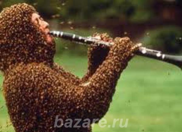 Продукты пчеловодства. Пчелиный яд., Тоцкое