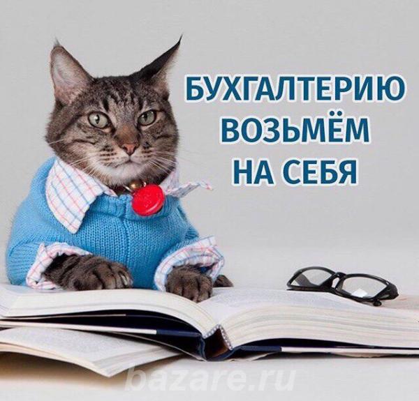 Кошка бухгалтер. Коты бухгалтера. Умный кот. Котенок бухгалтер. Коты в бухгалтерии.