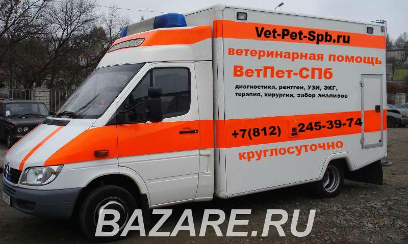 Выездной ветеринар на дом в СПб, Санкт-Петербург