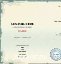Курсы повышения квалификации онлайн для педагогов и ..., Москва