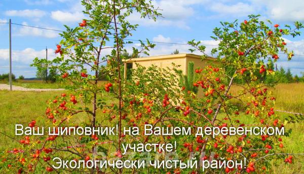 Продается 24 соток под ИЖС в живописной деревне Русятино Заокского рай ..., Заокский