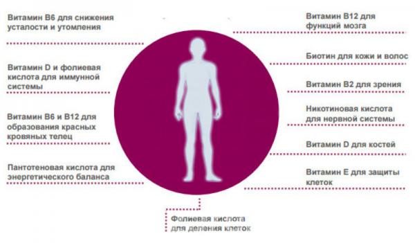 Vita Aktiv Вита Актив - комплекс витаминов от LR Сделано в Германии