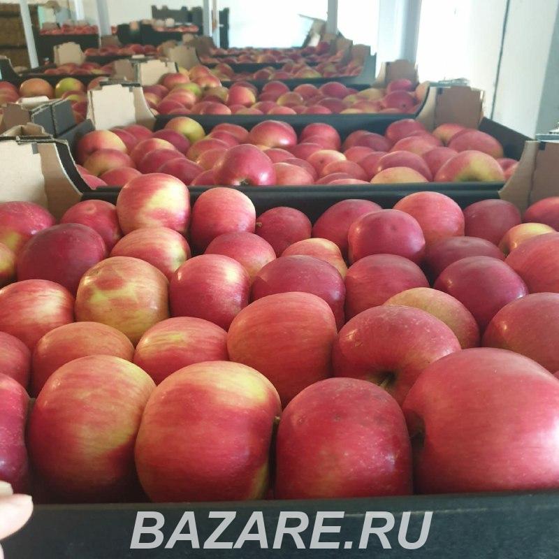 Яблоки напрямую от производителя, Москва